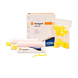 Honigum Automix Light Fast ( Хонигум) - паста (2 картриджа х 50 мл. + насадки). DMG Honigum Automix Light Fast ( Хонигум) - паста (2 картриджа х 50 мл. + насадки). DMG